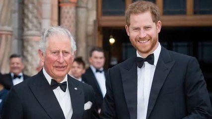 Prince Harry ‘won’t attend’ King’s Coronation Concert and other festivities