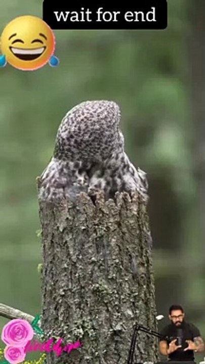 Tranding shorts on youtube-Tranding shorts video- tranding shorts channel#tranding #viral #shorts 20 (2)