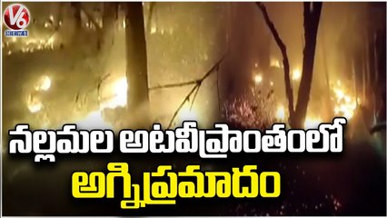 Fire Mishap At Nallamala Forest At Nagarkurnool | V6 News
