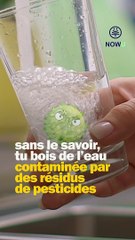 Peut-on boire l'eau du robinet ? Tu veux plus d'infos environnement, go follow @nowu_fr