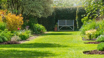 Gartentipps von Experten: So wird der Rasen zum grünen Schmuckstück