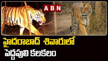 హైద_రాబాద్  శివారులో పెద్ద_పులి క_ల_క_లం _ Tiger hulchul in Hyderabad _ ABN Telugu(1)