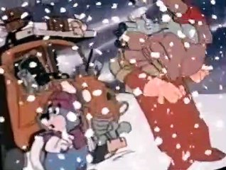 CB Bears CB Bears E010