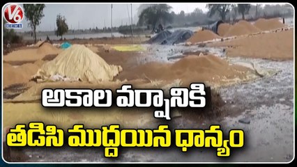 Untimely Rains Damage Paddy In Bheemgal  _ Nizamabad  _ V6 News