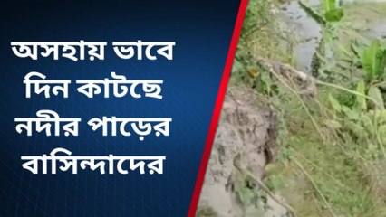 নদীর বাঁধ ভেঙেছে নামা যশোডাঙ্গা এলাকায়....অসহায় ভাবে দিন কাটাচ্ছেন নদীপাড়ের বাসিন্দারা