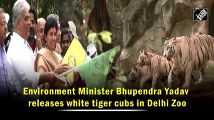 Environment Minister Bhupendra Yadav releases white tiger cubs in Delhi Zoo