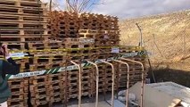 Imagen de la Guardia Civil interviniendo los palés de madera en Soria.