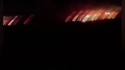 Birçok kuş türüne ev sahipliği yapan Kazlıgöl sazlığı alev alev yandı
