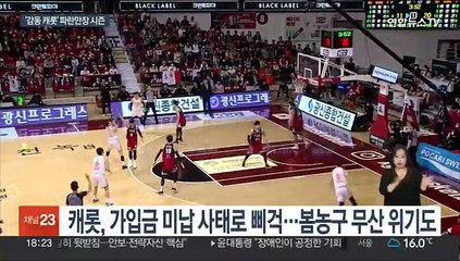 파란만장했던 '감동 캐롯'…"끝 아니다"