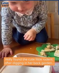 When your toddler catches a stray mouse