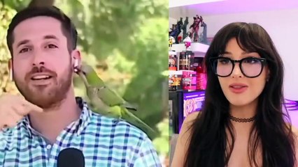 People Who Got Caught In 4k (EP. 27)