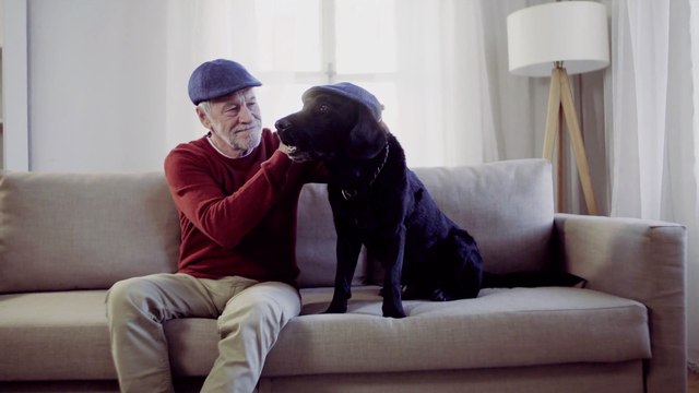 Minimize Your Pet Hair With These Simple Tips!