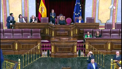 Resumen de la sesión del congreso sobre la reforma de la Ley solo sí es sí