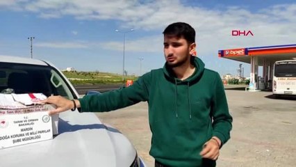 YOLCU OTOBÜSÜNDE KUTU İÇERİSİNDE 16 YAVRU SİNCAP BULUNDU