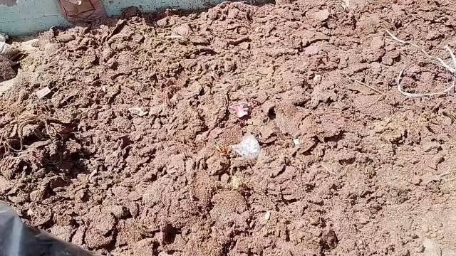 Video: बारिश से कृषि फसल का चुनाव परिसर में खुले में किसान जिन्स भी होंगे