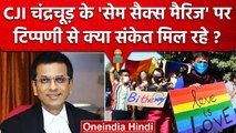CJI DY Chandrachud की Same Sex Marriage पर टिप्पणी और कानूनी लड़ाई | Supreme Court | वनइंडिया हिंदी