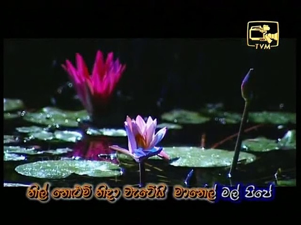 නිල් අහස් තලේ - මොරිස් දහනායක