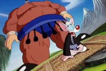 Pinky and the Brain S03 E28