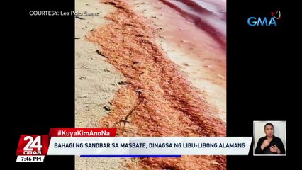 Bahagi ng sandbar sa Masbate, dinagsa ng libu-libong alamang | 24 Oras