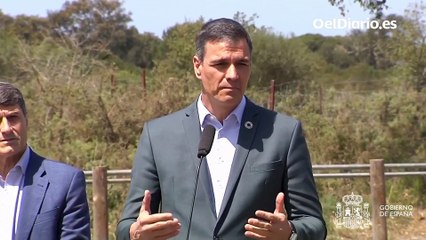 Sánchez llama a Moreno a rectificar y abandonar “posturas soberbias” con Doñana