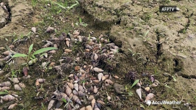 Severe drought in Taiwan causing issues