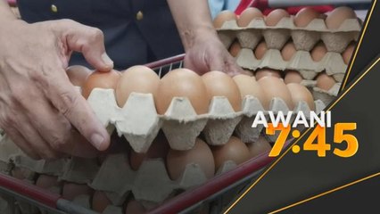 Bekalan telur ayam cukup