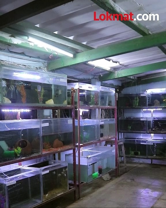 Marine Aqua Zoo विविध प्रकारचे प्राणी-पक्षी पाहा फक्त ₹२० रुपयात_1