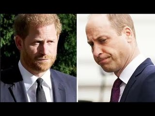 King Charles ha avvertito che il suo tentativo di sanare la "vasta spaccatura" tra William e Harry è