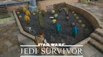 Graines Jedi Survivor : Utilité et où les planter ?