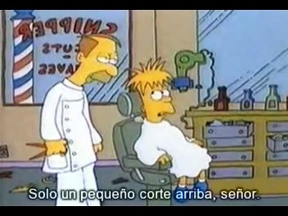 Los Simpsons - Temporada 0 - Cap 15