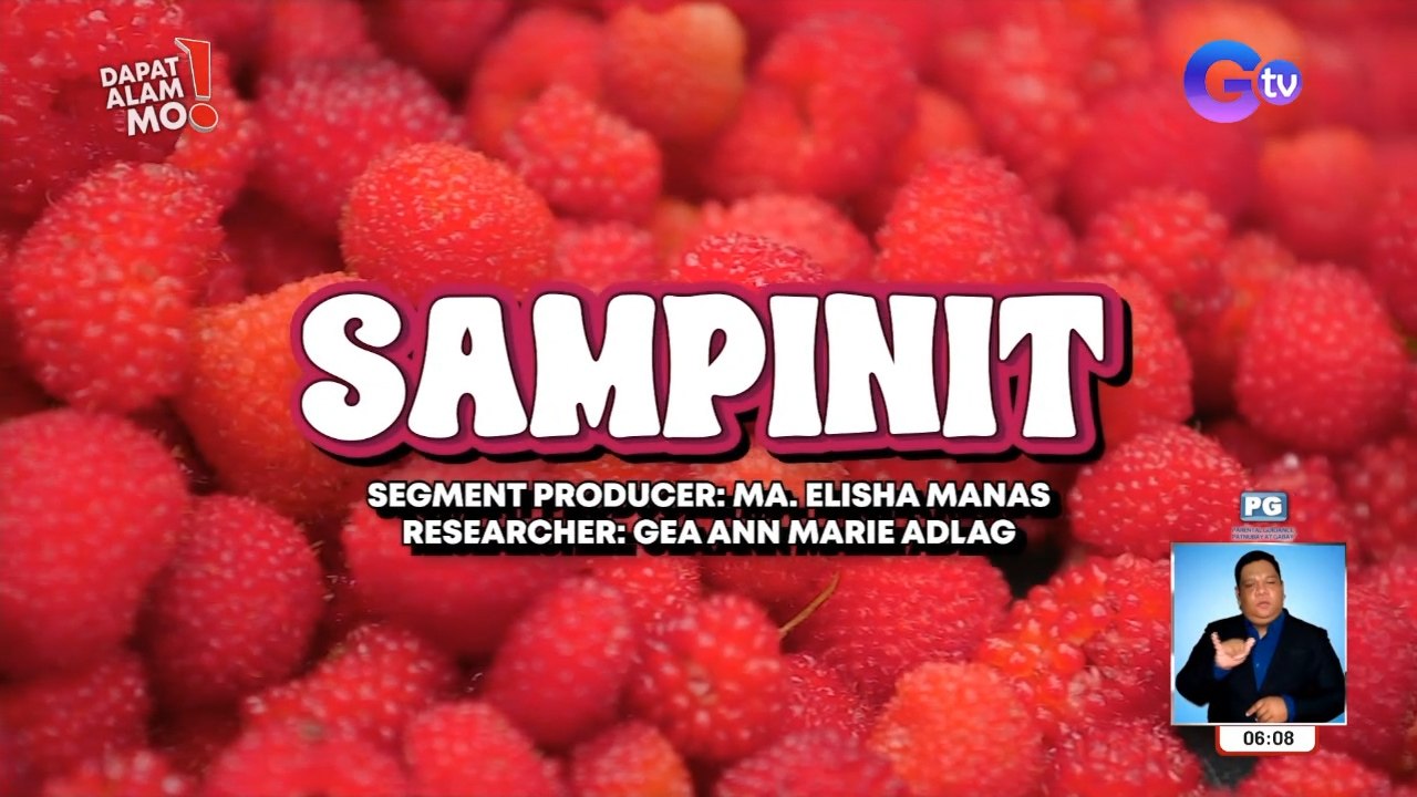 Sampinit, ang raspberry na endemic sa Pilipinas. | Dapat Alam Mo ...