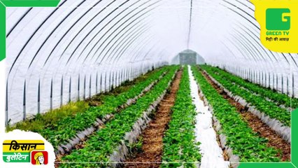 Kisan Bulletin 20 April 2023 - छोटे Polyhouse बनाने पर 70% की subsidy देगी सरकार, अब बिना सीजन के भी फल-सब्जी उगा सकेंगे किसान