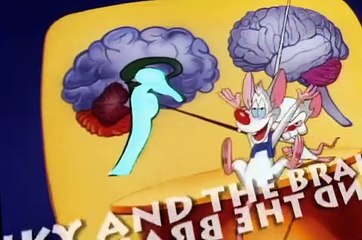 Pinky and the Brain S03 E13