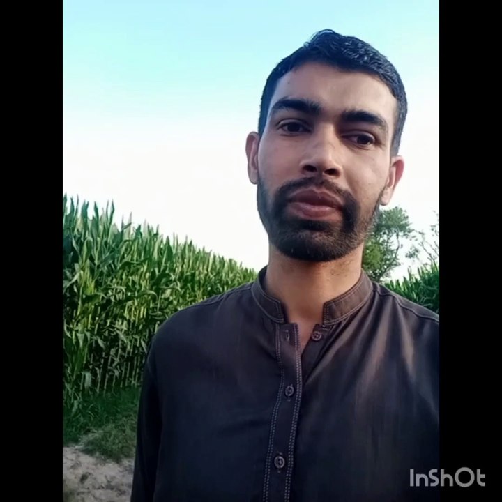 Makai ki kasht in Pakistan