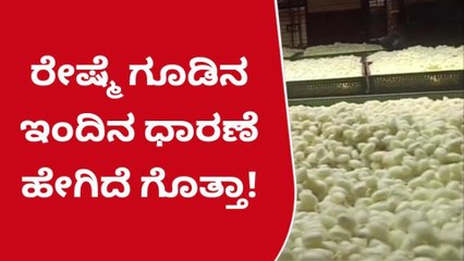 ಶಿಡ್ಲಘಟ್ಟ: ರೇಷ್ಮೆ ಮಾರುಕಟ್ಟೆಯಲ್ಲಿ ಇಂದಿನ ರೇಷ್ಮೆ ಧಾರಣೆ ಹೀಗಿದೆ ನೋಡಿ...