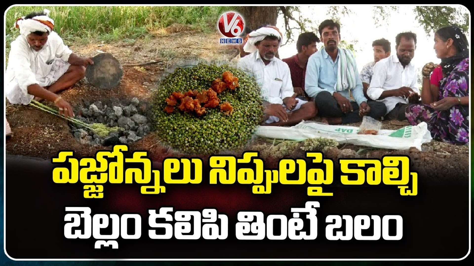 Jowar (Sorghum) _ Better To Eat Good Health _ Sangareddy _ V6 News