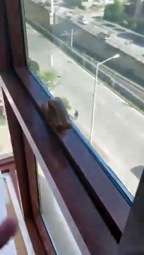 AKP ilçe binasına silahlı saldırı