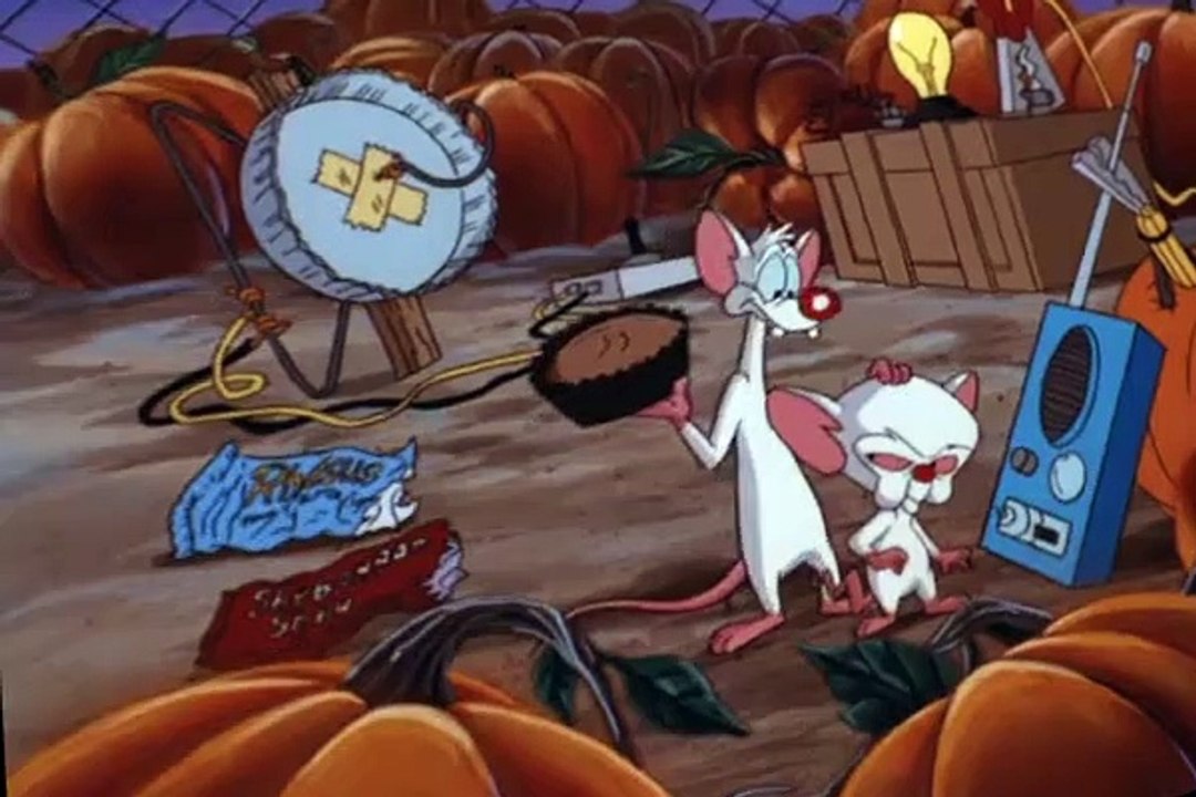 Pinky and the Brain S03 E25
