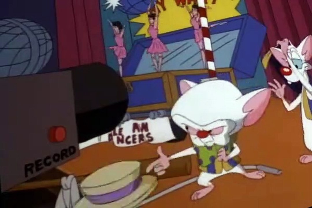 Pinky and the Brain S03 E29