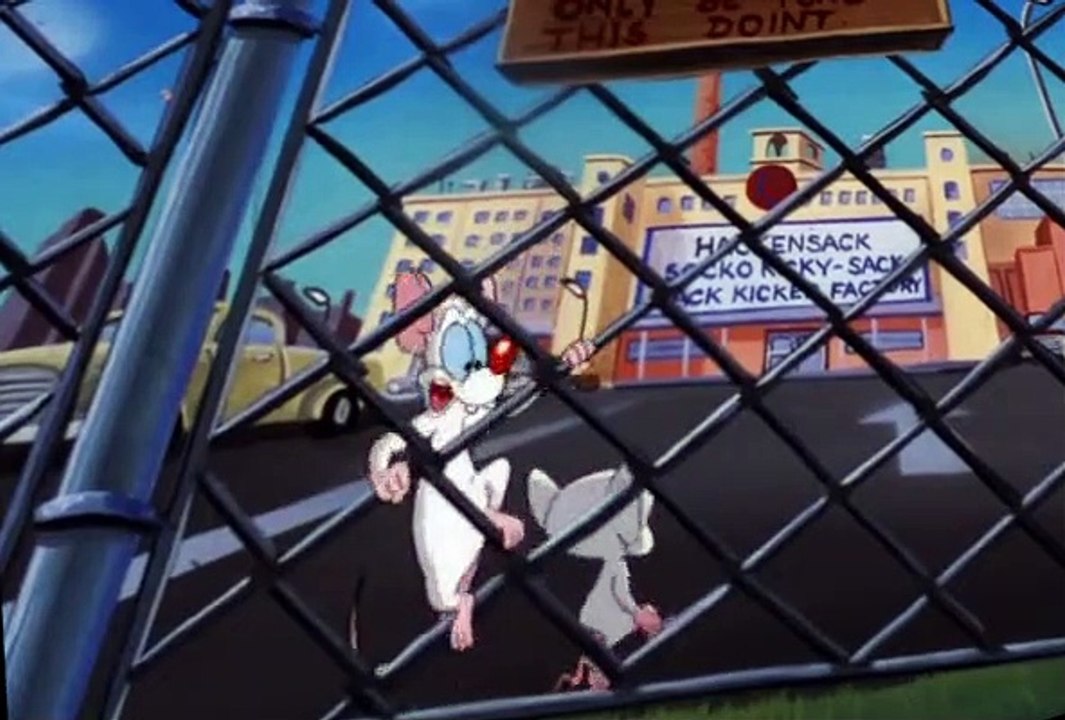 Pinky and the Brain S03 E31