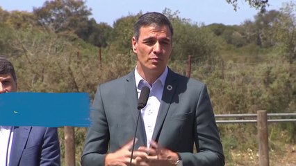 Pedro Sánchez pide a la Junta de Andalucía abandonar "posturas soberbias" en Doñana