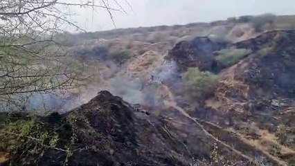 तीन घंटे की मशक्कत के बाद पाया आग पर काबू