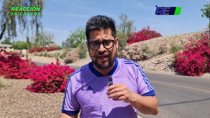 ¿Debería de seguir el repechaje en la Liga MX?