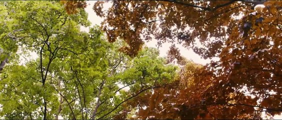 La Vie d'Adèle - Chapitres 1 et 2 Bande-annonce (FR)