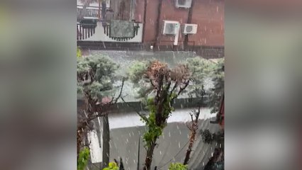Grandine a Castel Guelfo, parte la conta dei danni