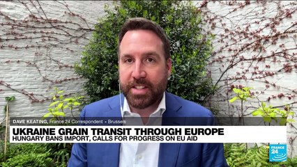 Ukraine grain transit through Europe: Hungary bans import, calls for progress on EU aid
