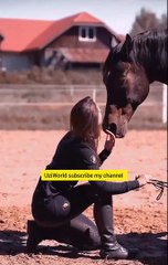 Horse Dancing with Beautiful girl