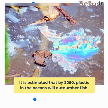 Terrifying Ocean Trash Projection: More Plastic Than Fish by 2050!!