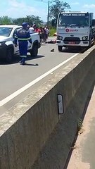 Professor morre após colisão entre carro e moto em Limoeiro de Anadia