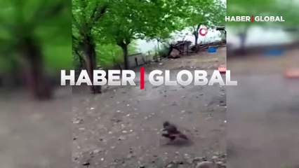 Adıyaman'da yumurta büyüklüğünde yağan dolu görenleri şaşkına çevirdi